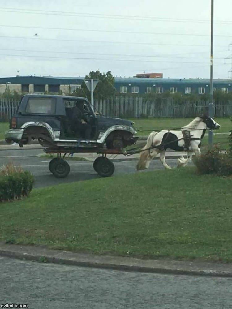 A Fun Ride