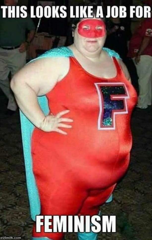 A Job For Feminism
