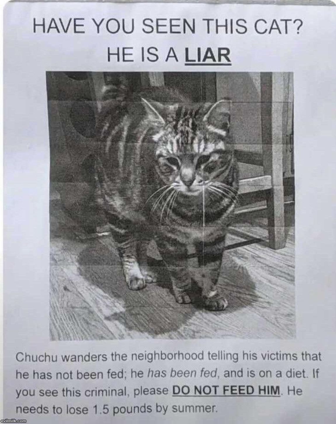 A Liar