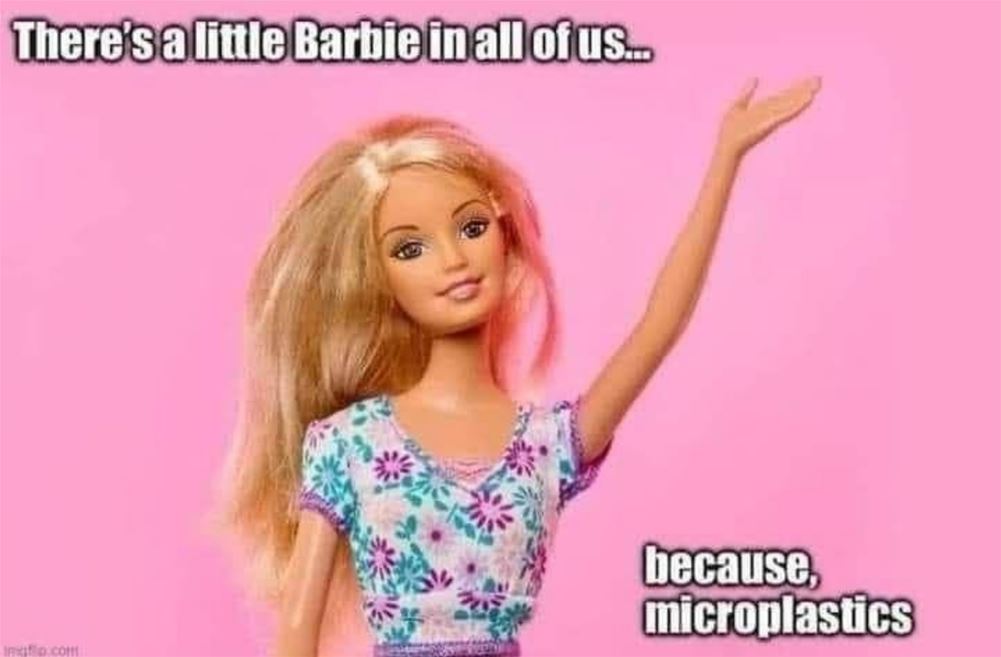 A Little Barbie