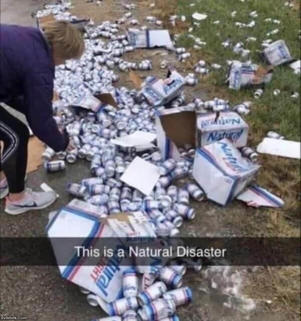 A Natural Disaster