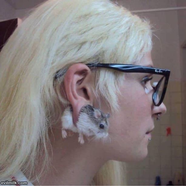 A New Level
