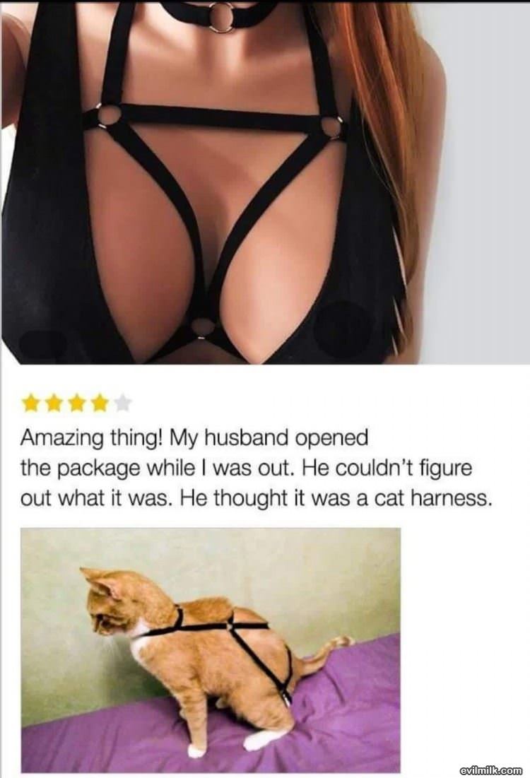 A Nice Cat Harness