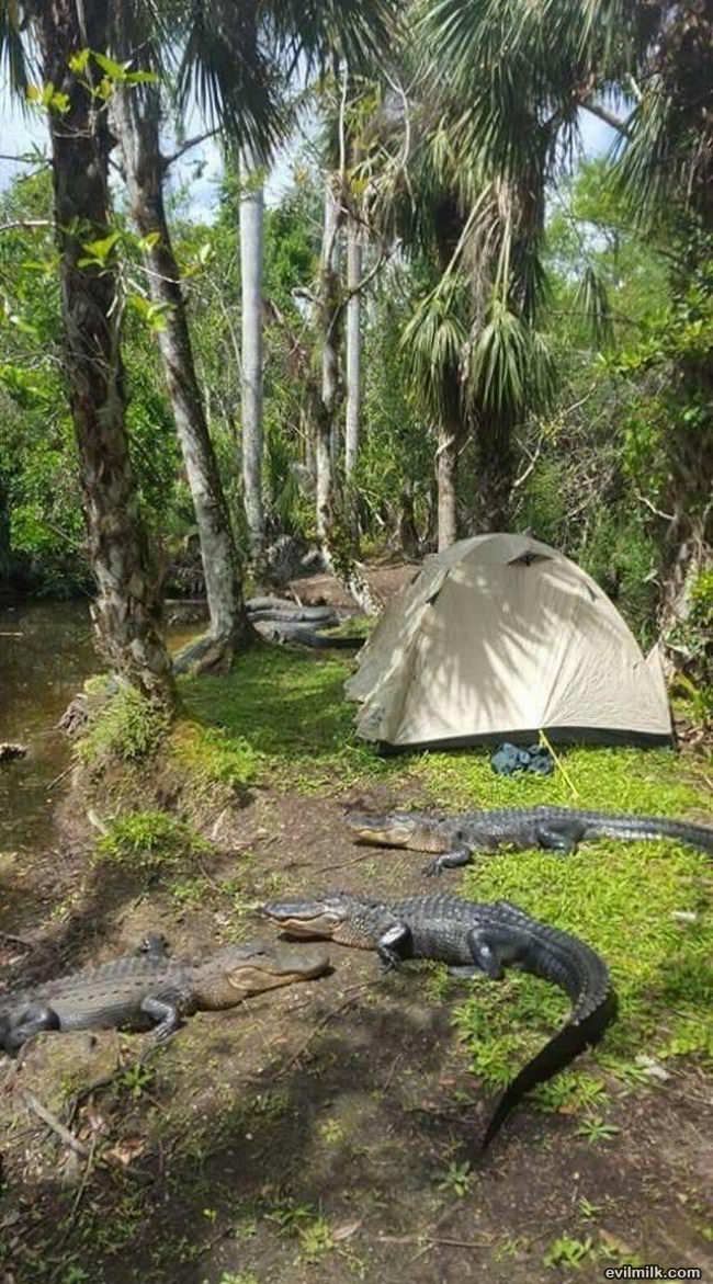 A Nice Place For Camping