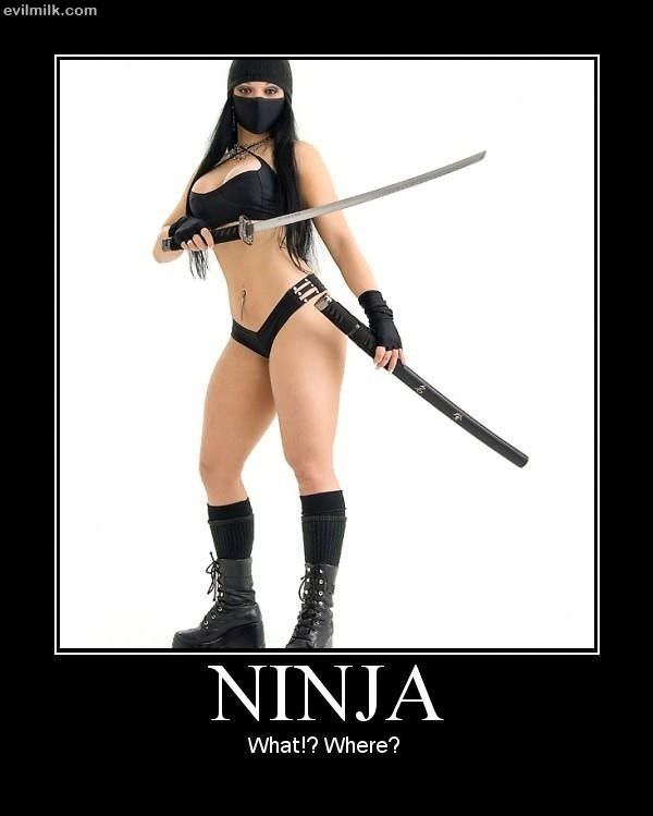 A Ninja
