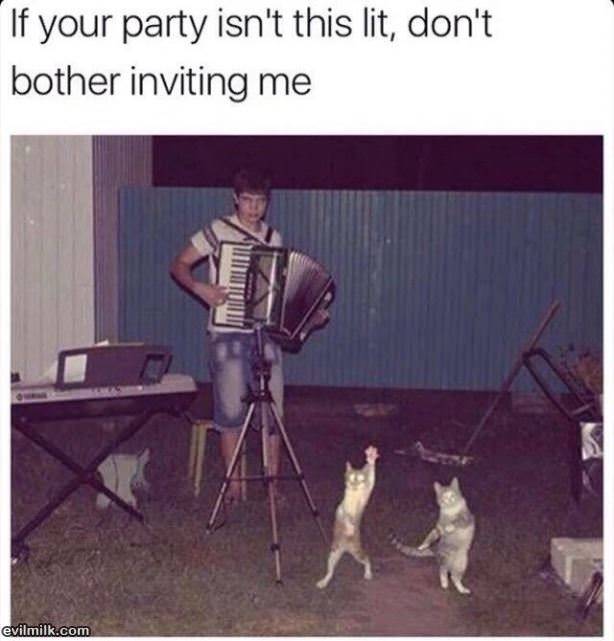 A Party This Lit