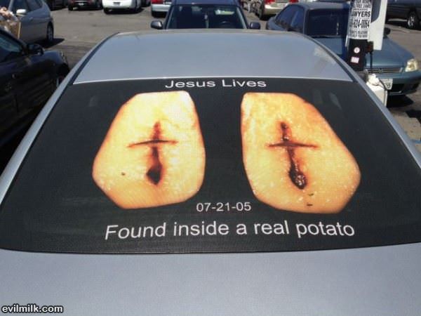 A Real Potato