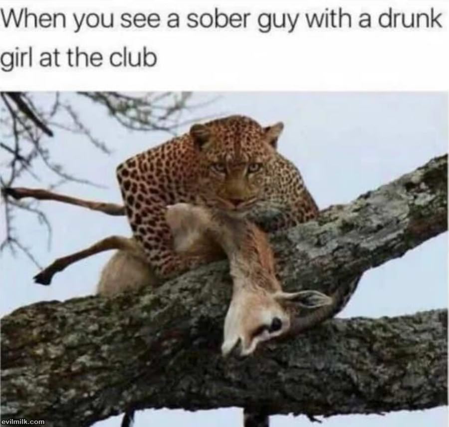 A Sober Guy With A Drunk Girl