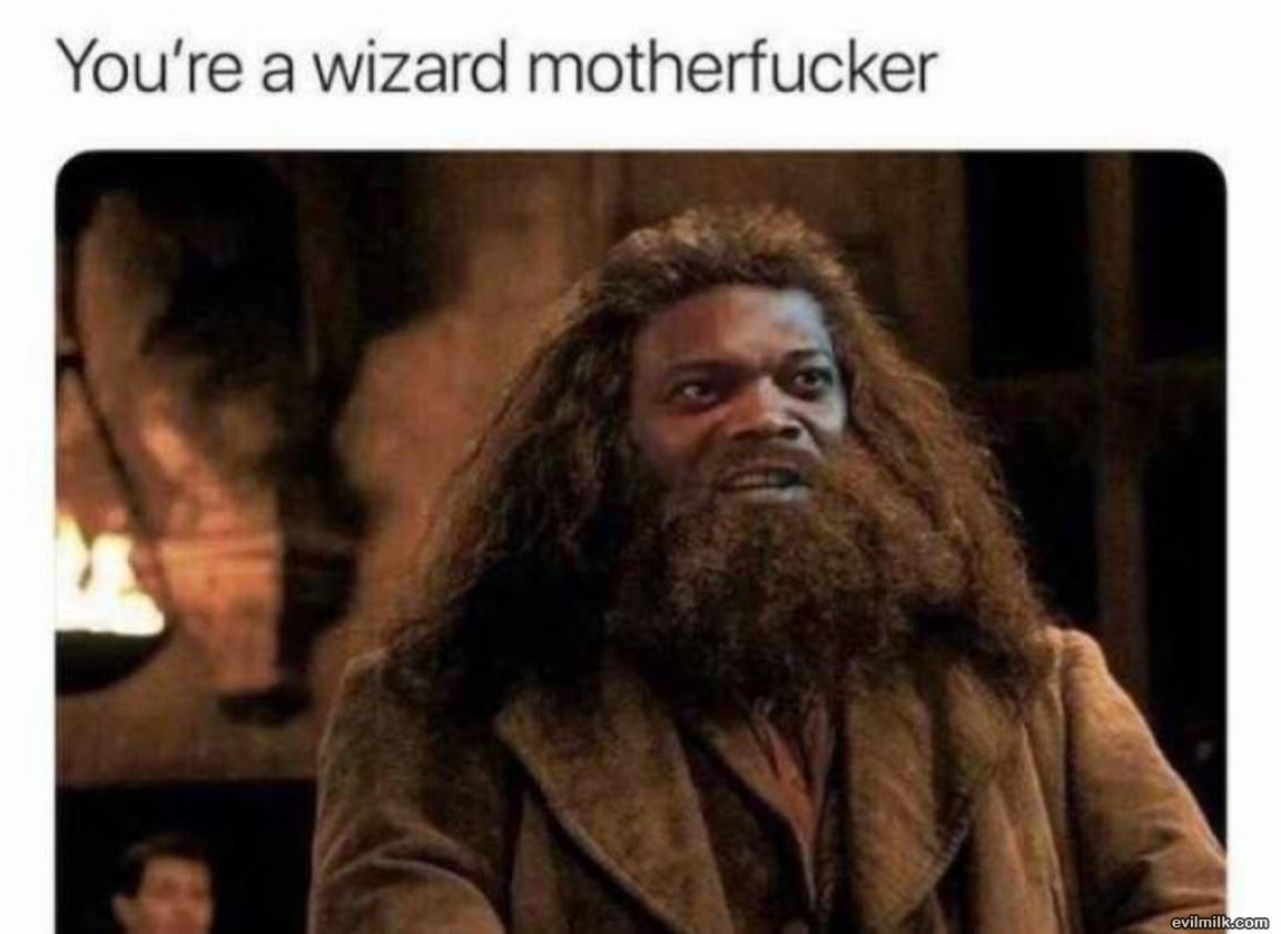 A Wizard