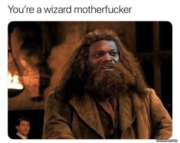 A Wizard