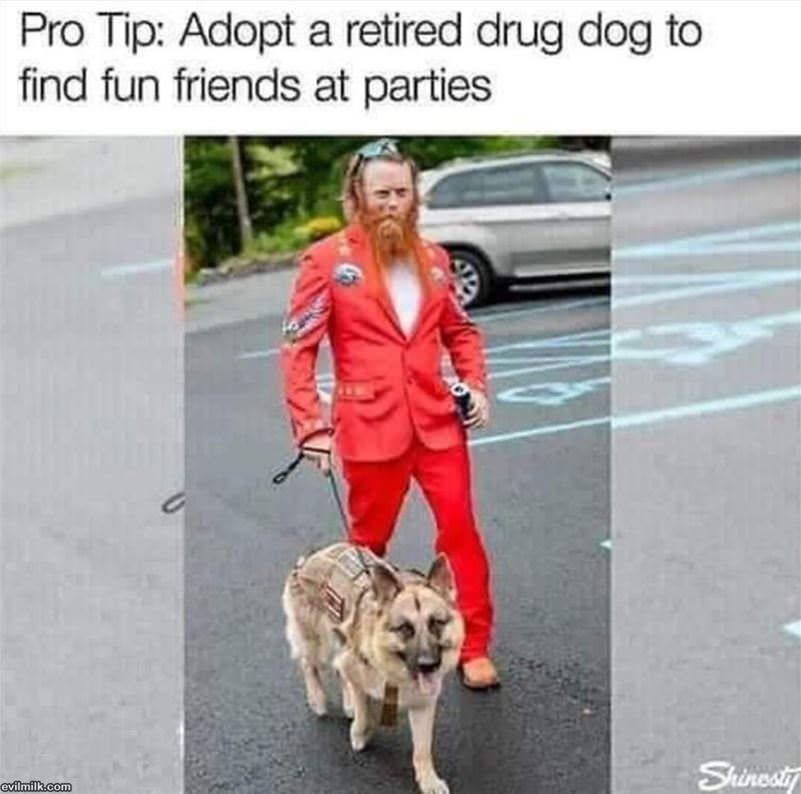 Adopt A Dog