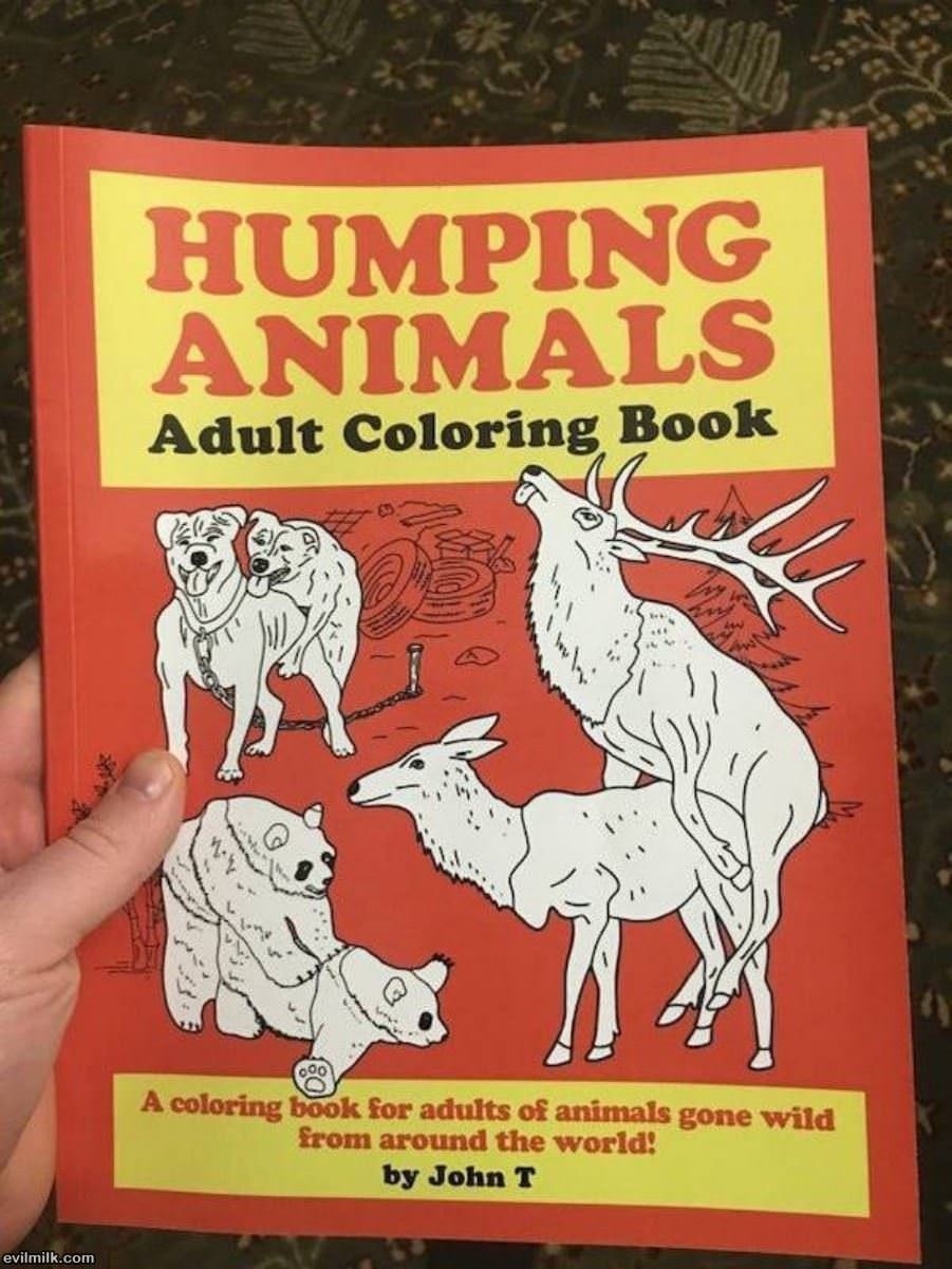 Adult Coloring Book