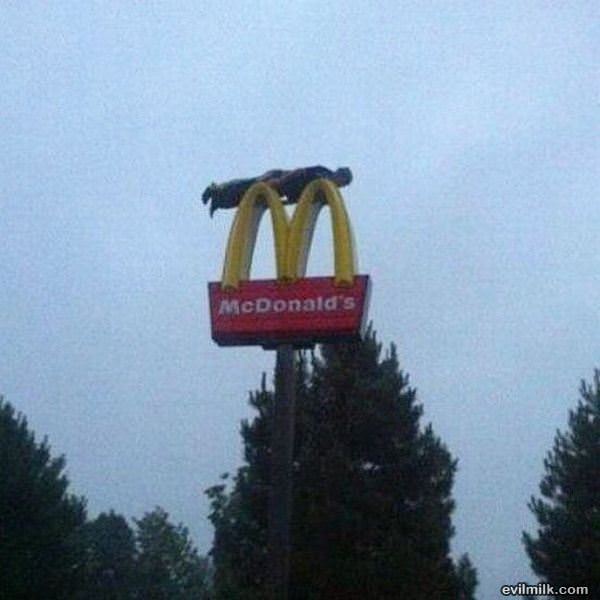 Advanced Planking