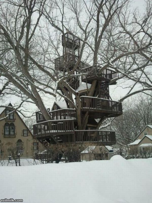 Advanced Tree House