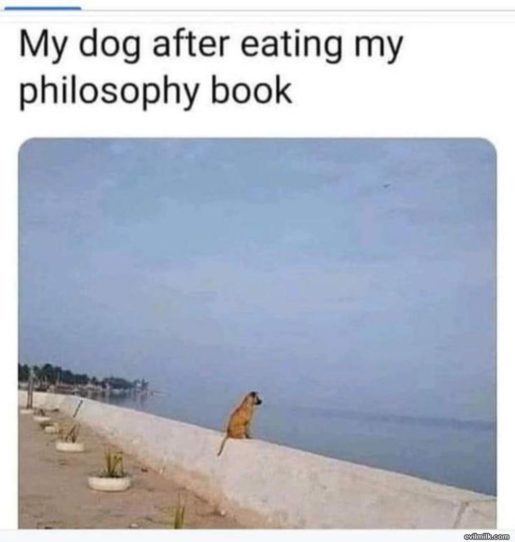 After Eating The Book