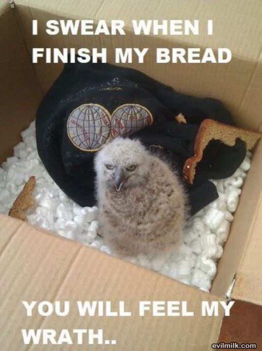 After My Bread