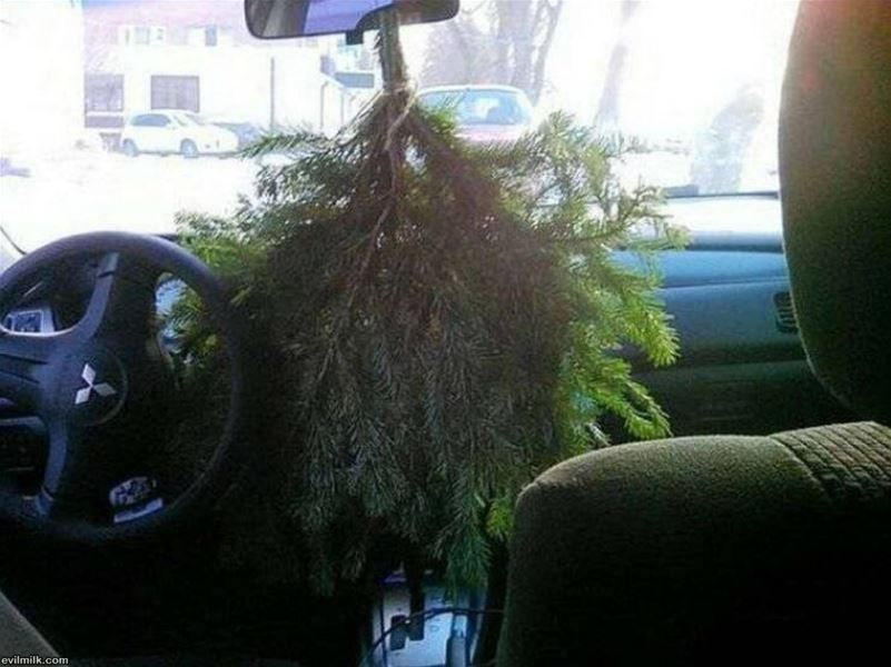 Air Freshener