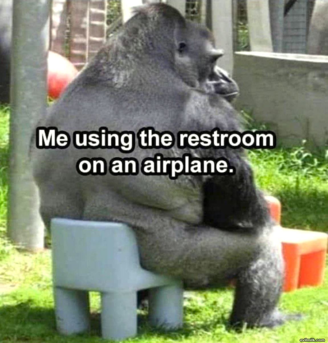 Airplane
