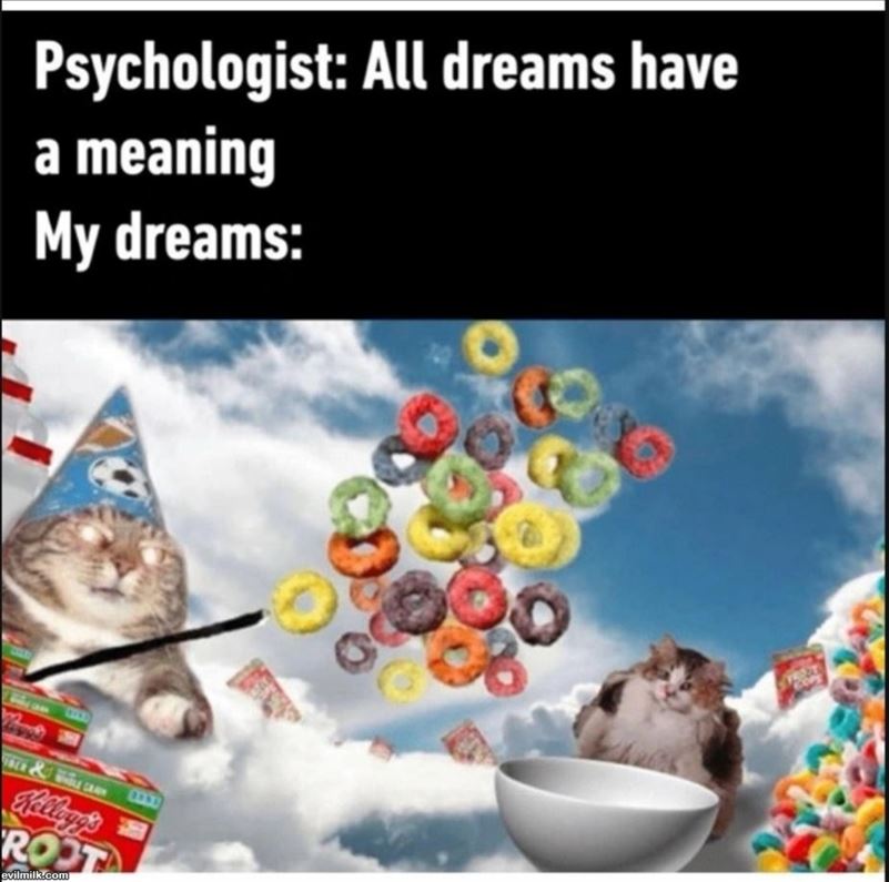 All Dreams
