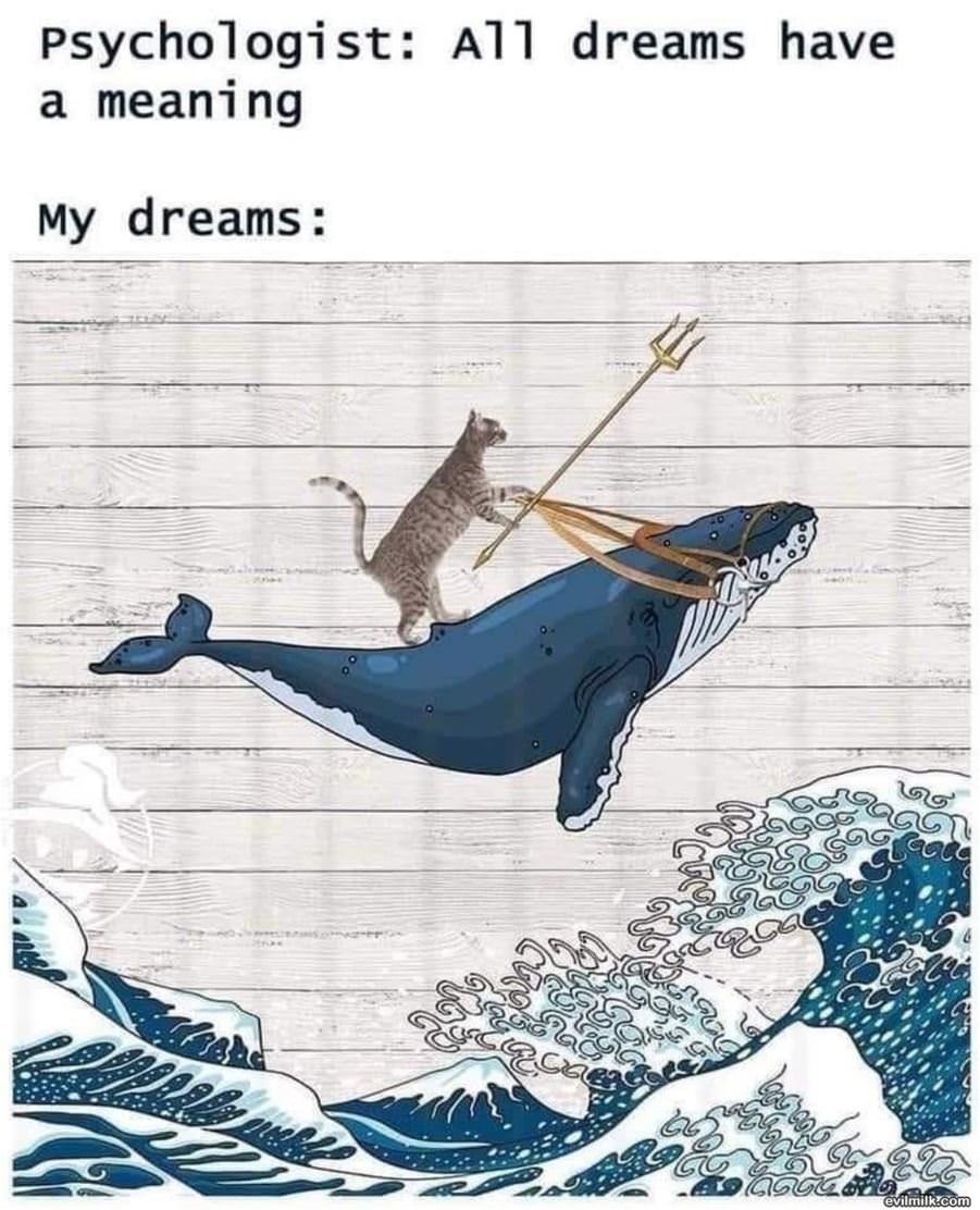 All Dreams Have Meaning