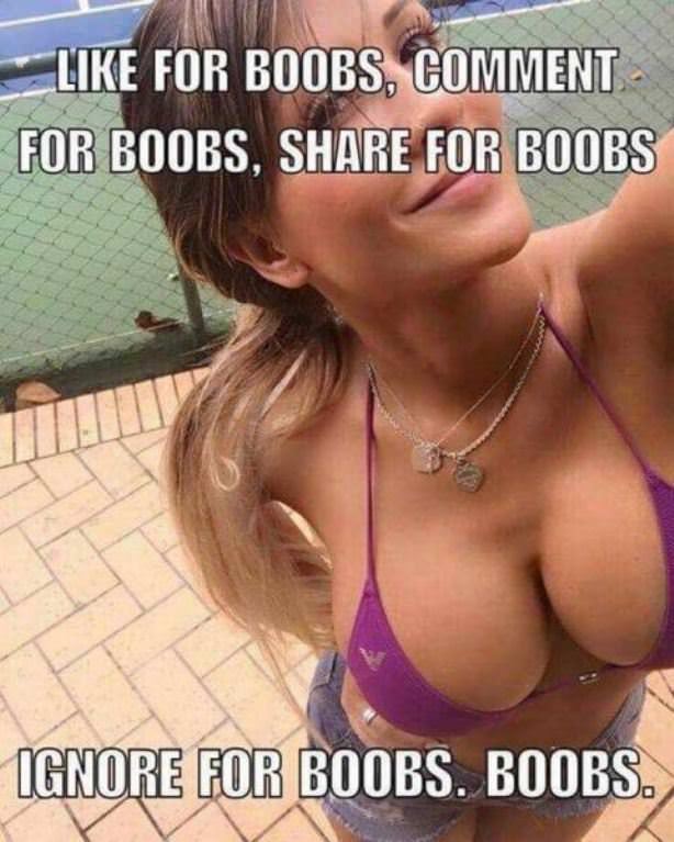All Of The Above