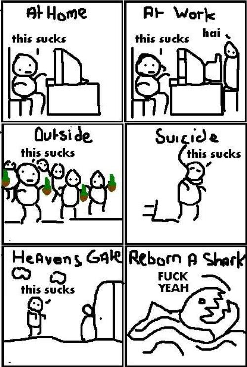 All Sucks
