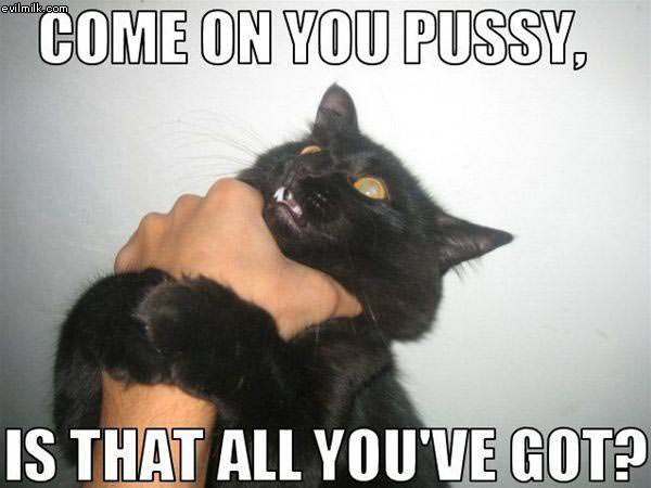 All You Got