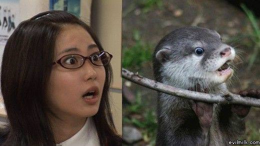 Almost Twins