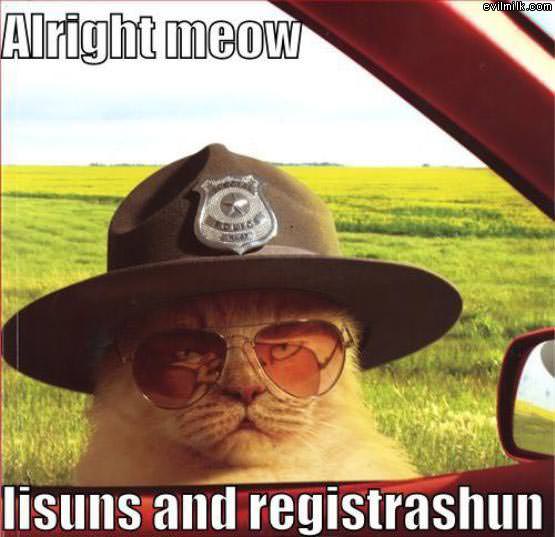 Alright Meow
