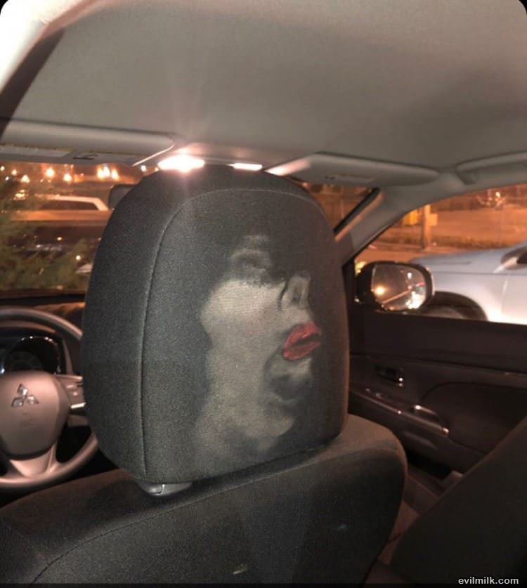 Always Wear Your Seatbelt