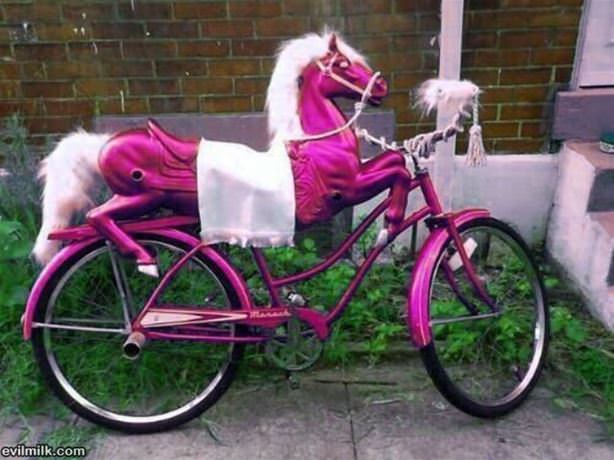 An Amazing Bike