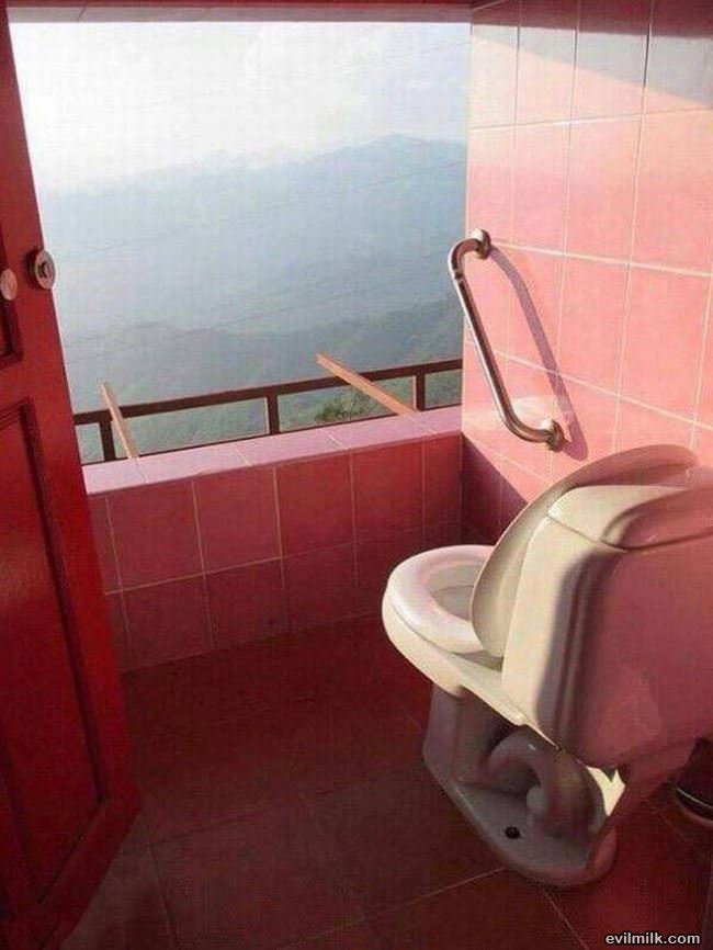 An Amazing View