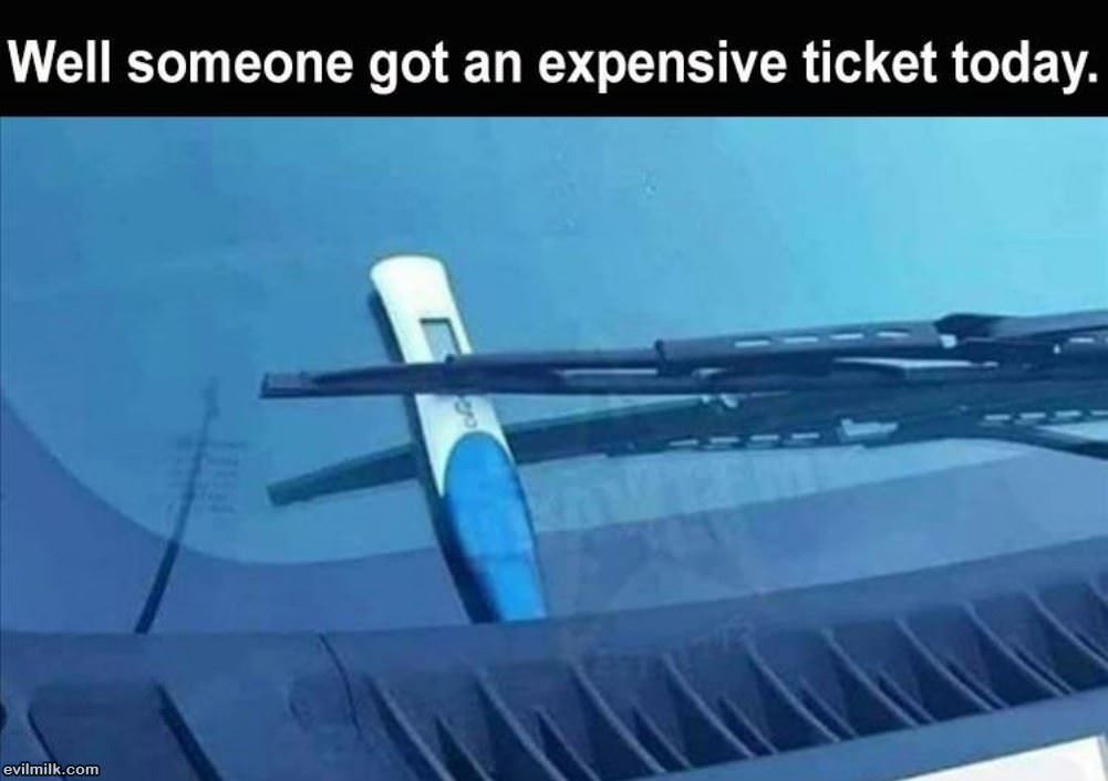 An Expensive Ticket