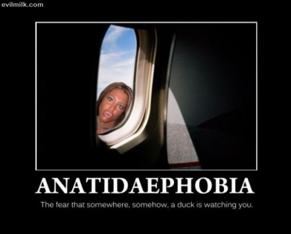Anatidaephobia