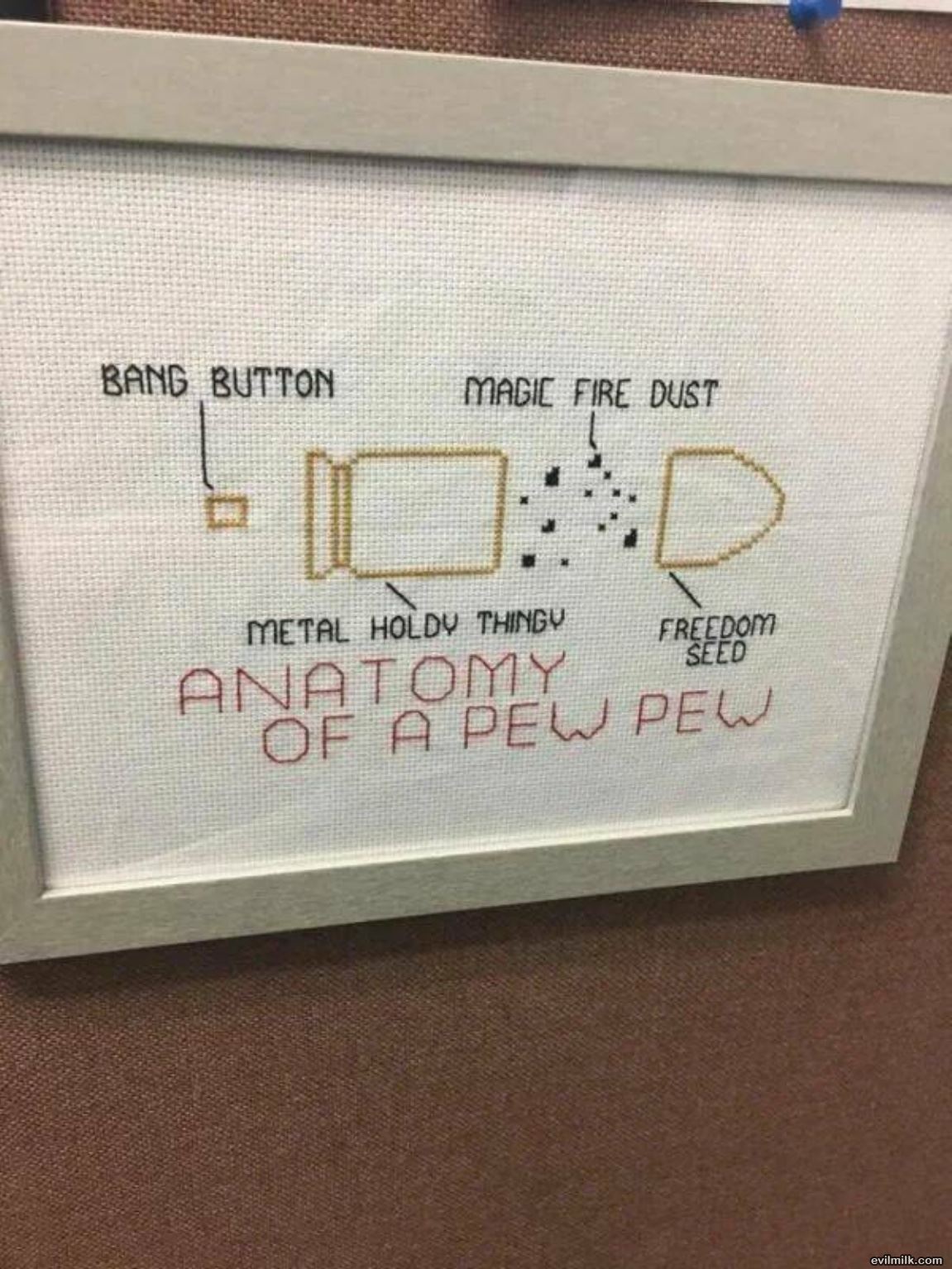 Anatomy