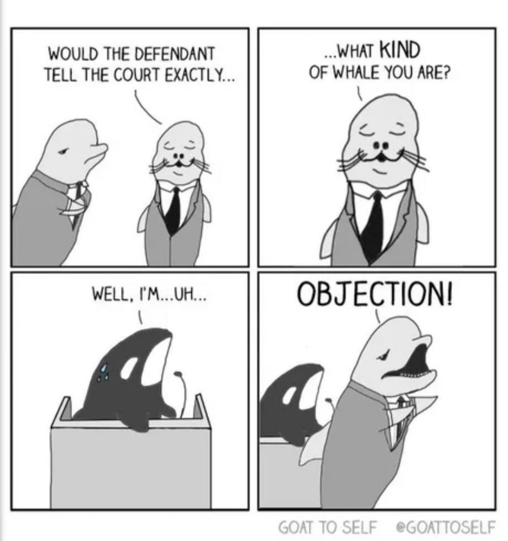 And Tell The Court