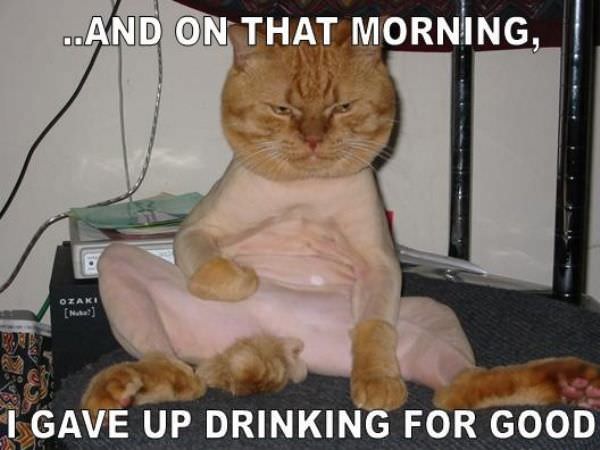 And That Morning
