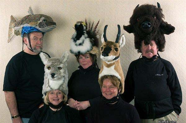 Animal Heads