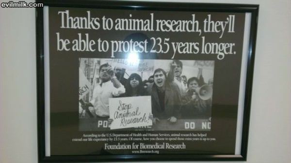 Animal Research