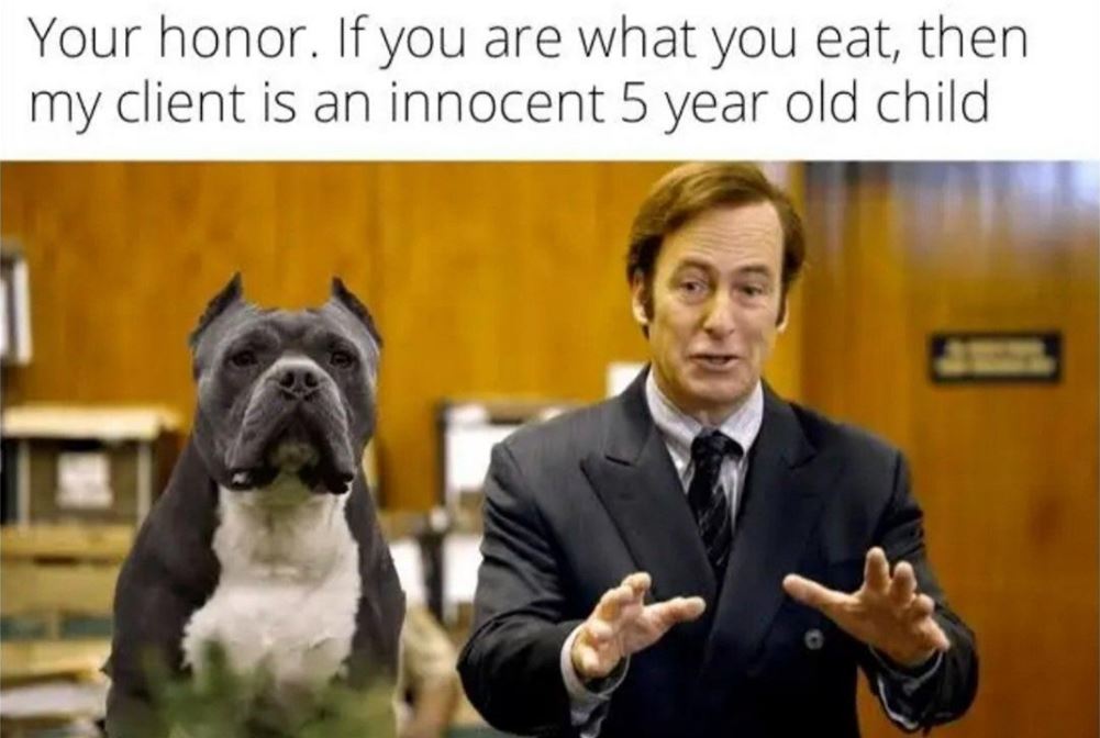 Are What You Eat