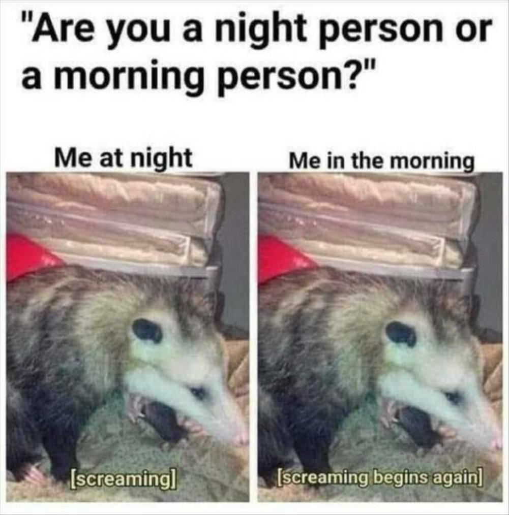 Are You A Morning Or Night Person