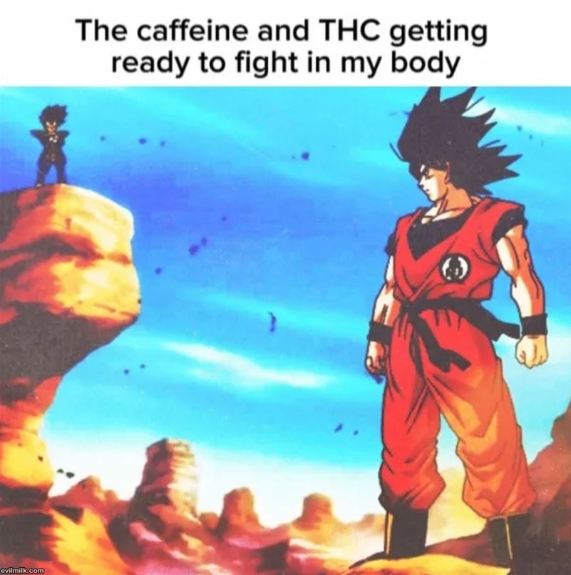 Are You Ready