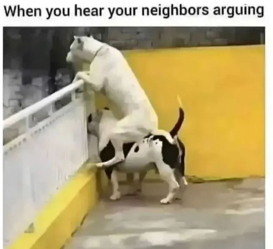 Arguing