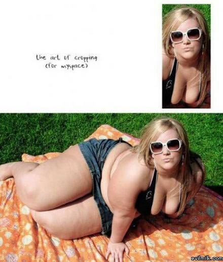 Art Of Cropping