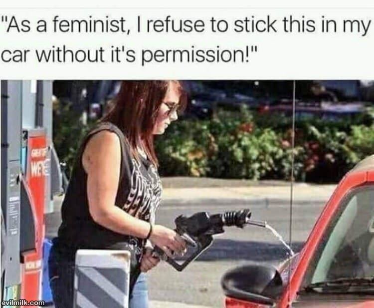 As A Feminist