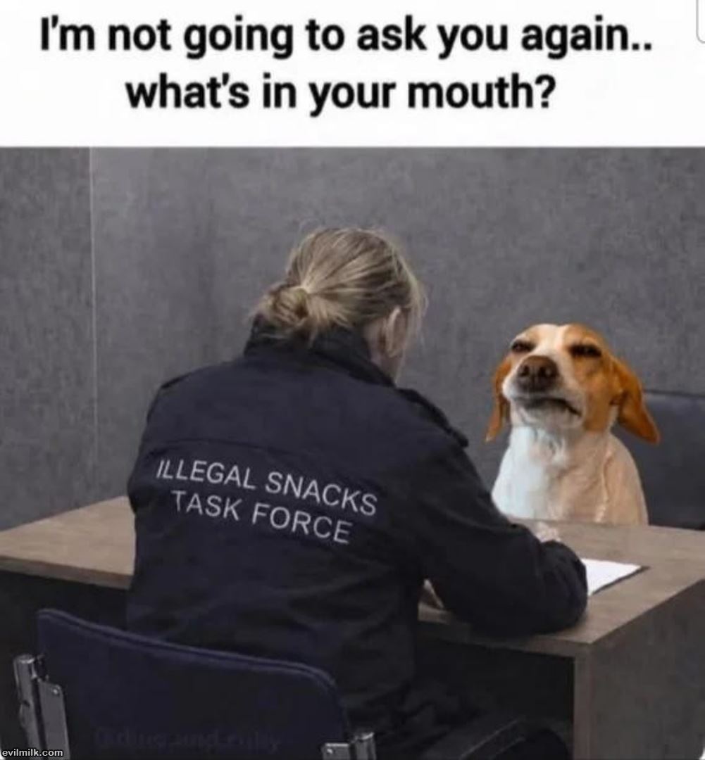 Ask Again