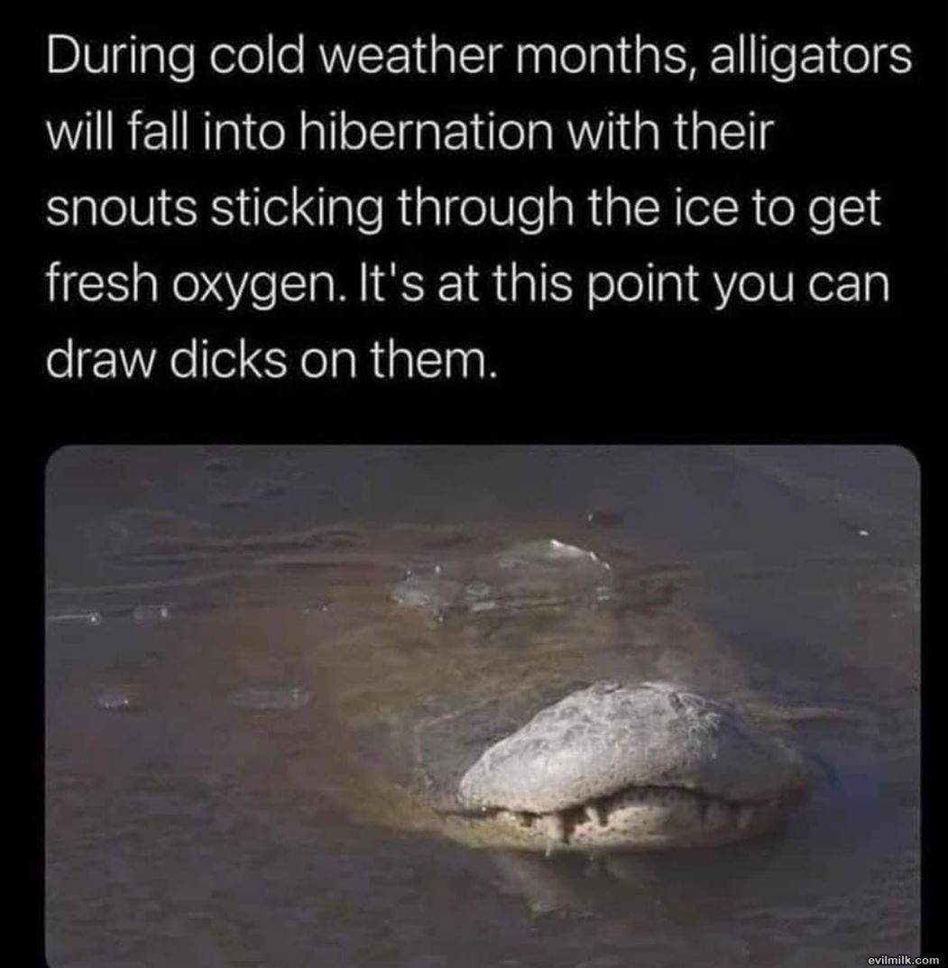 At This Point