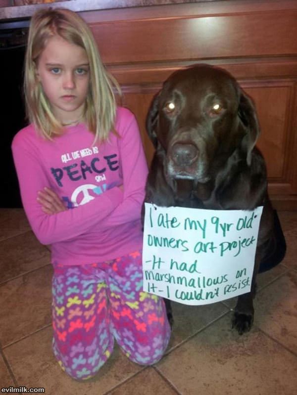 Ate The Homework