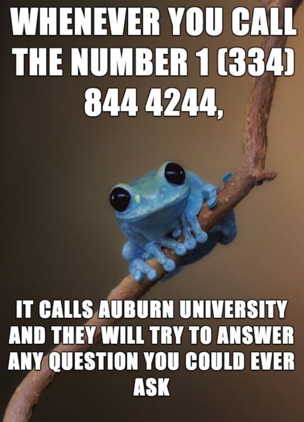 Auburn University Information Desk