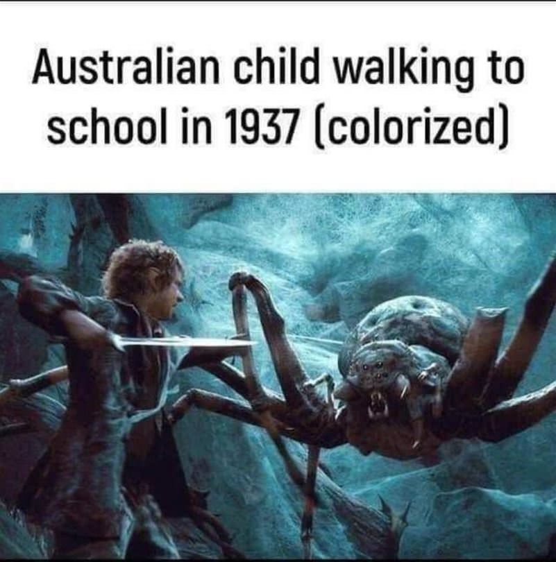 Australian Child Walking To School